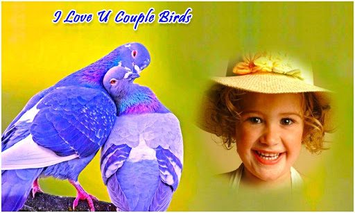 Android application Couple Birds Photo Frames screenshort