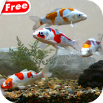 Cover Image of Download Koi Fish Tank Video Wallpaper 3.0 APK