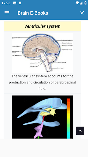 Brain E-Books Screen 2