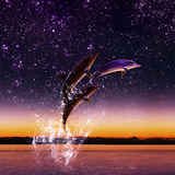 Dolphin Star icon