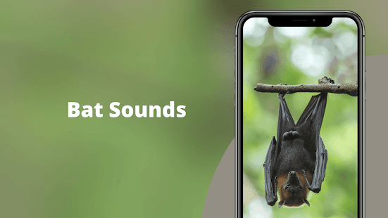 Bat sounds - Bat Noises Screec Screenshot