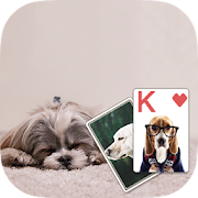 Solitaire Cute Puppies Theme 1.5 Icon