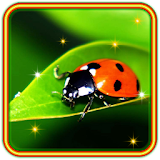 Ladybirds Free icon