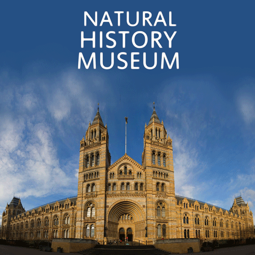 Natural History Museum  Icon