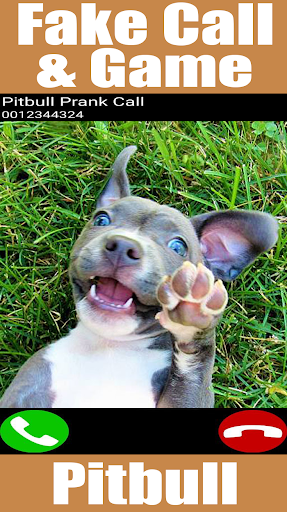 Fake Call Pitbull Game