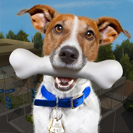 Animal Shelter Pet Rescue Game - Apps on Google Play