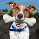Animal Shelter Pet Rescue Game 1.07 APK Download