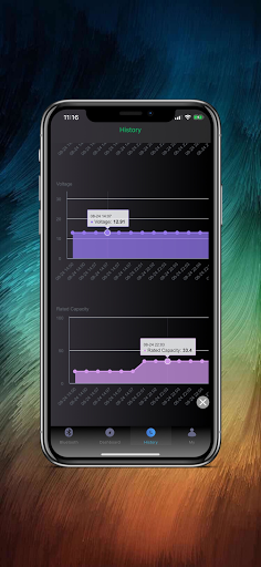 Onyx BMS Screen 3