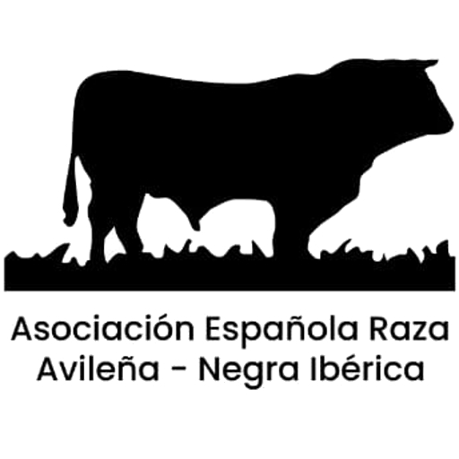 AEANI logo