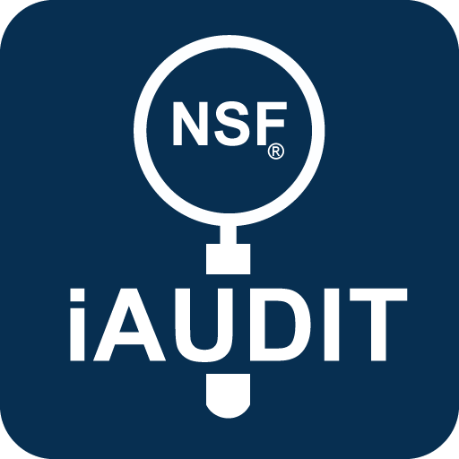 iAudit
