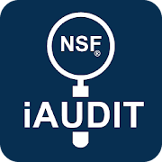 iAudit