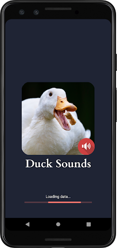 Android application Duck Sounds screenshort