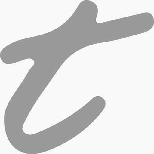 Trawöger CMR & Telematik logo