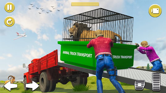 Animal Transport Truck Driver