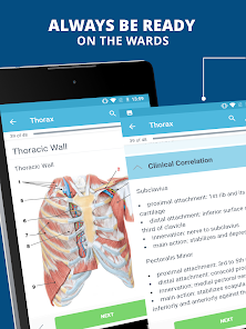 Captura de Pantalla 6 USMLE Clinical Anatomy android