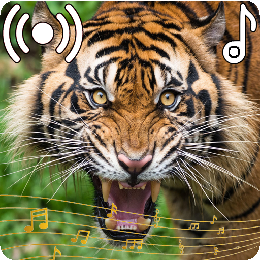 Tiger Roar Sound Effects  Sounds Effects 