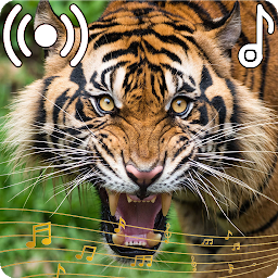 Icon image Tiger Sounds Ringtone