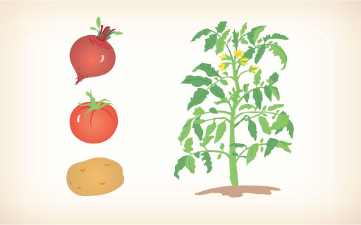 Zanimashki - preparation for school Games for kids