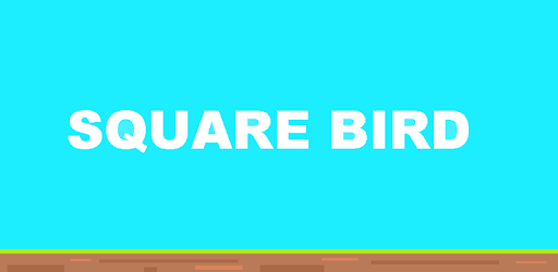 Square Bird cover