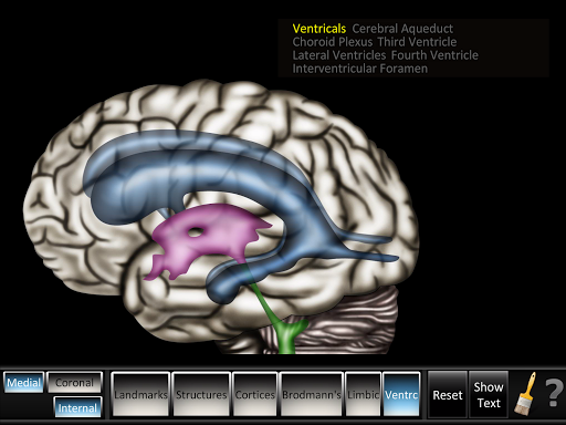 Android application Cerebrum ID screenshort
