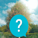 Download Bridgerton TV Show Unofficial Trivia Install Latest APK downloader