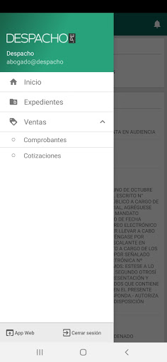 Despacho.pe Screen 2