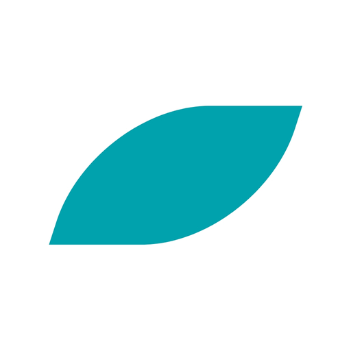 Raiys logo