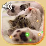 Kitty Songs LWP icon