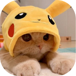 Cover Image of Download Cat Animated Stickers For What  APK