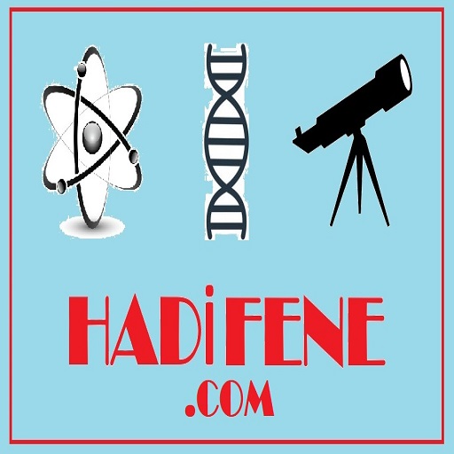 Hadi Fene logo