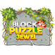 Block Puzzle Jewel New 2020