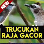 Cover Image of Unduh Trucukan Gacor Ropel NGOTOT Offline 1.0 APK