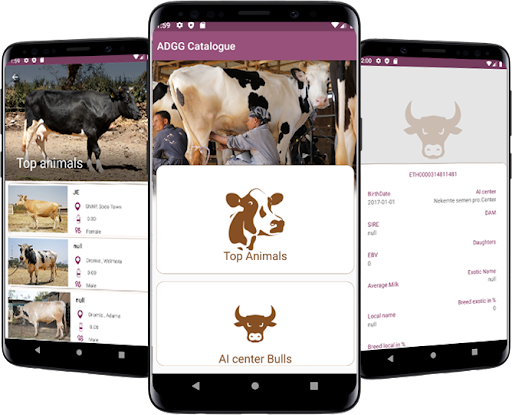 Dairy Animal Catalogue Screen 2