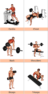 Workout Training Gym & Fitness