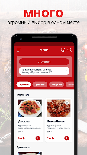 App preview