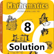Class 8 Maths NCERT Solution