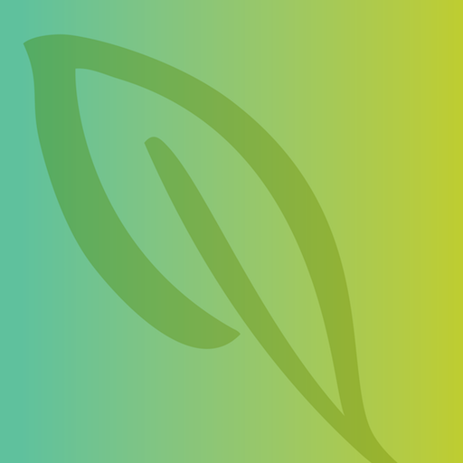 Solaris Paper logo