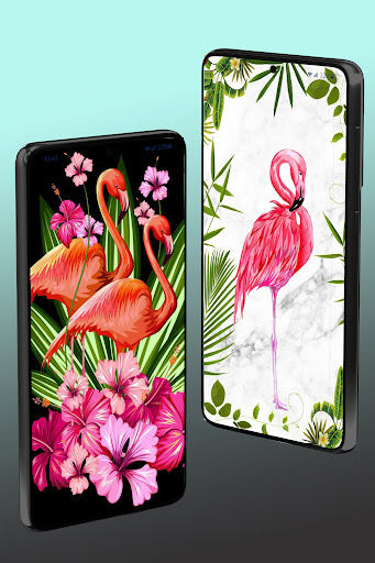 Android application Flamingo Wallpaper screenshort