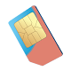 SIM rincian kartu Manajer Unduh di Windows