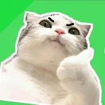 Cat Meme Sticker WAStickerApps APK