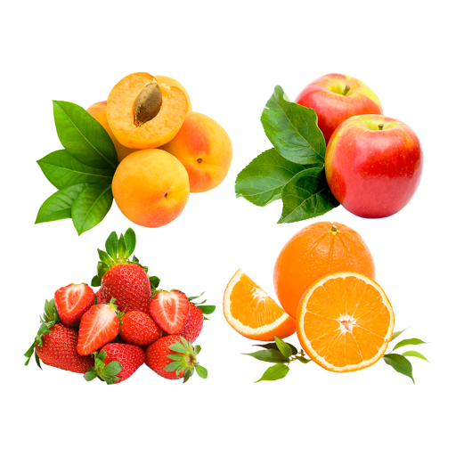 Learn Fruits Vegetables logo
