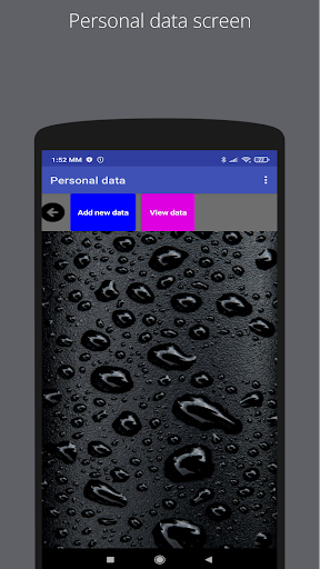 Personal data, passwords vault Screen 3