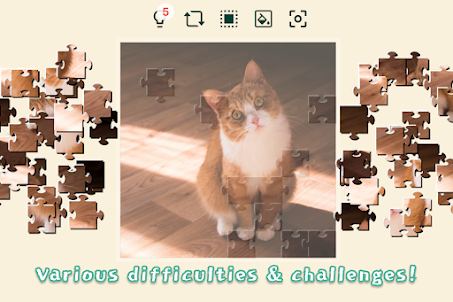 Cats Mania Jigsaw Puzzles