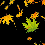 Cover Image of 下载 Autumn Leaves Live Wallpaper  APK