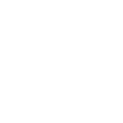 FNGenius: Live Game Show