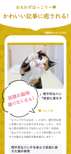 かわいい犬猫が大集合！セカイもふもふ探検隊-もふたん- Screenshot