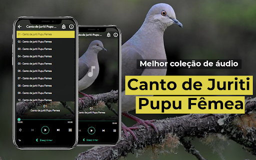 Android application Canto de Juriti Pupu Fêmea screenshort