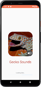 Gecko Sounds APK for Android Download (Premium) 1