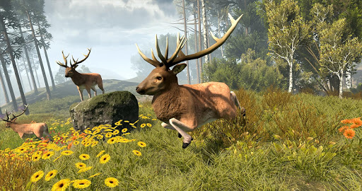 Tir à l'arc Go Deer Jeux de tir  screenshots 2