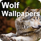 Wolf Wallpapers and background editing
